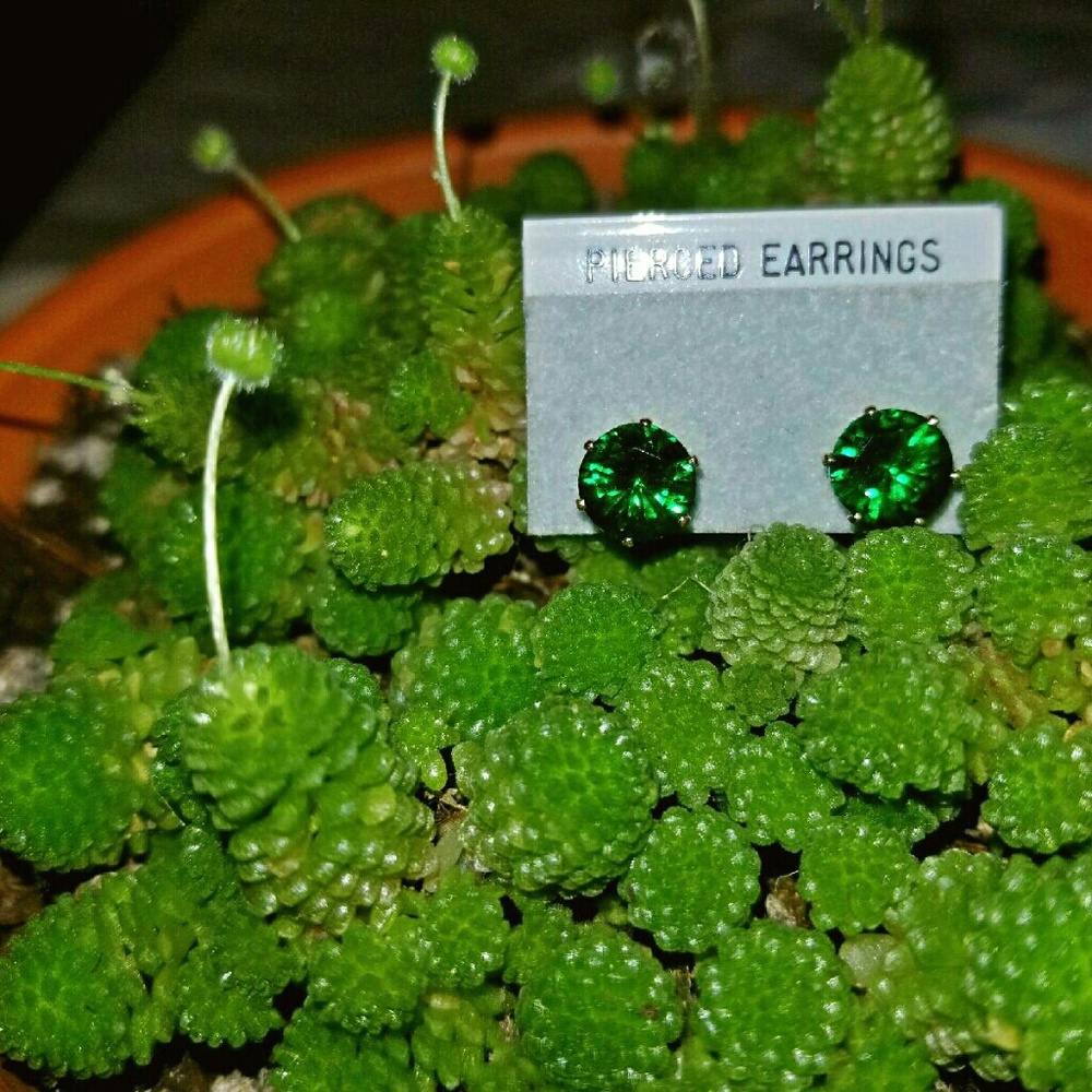 Green Jewel Stud Earrings